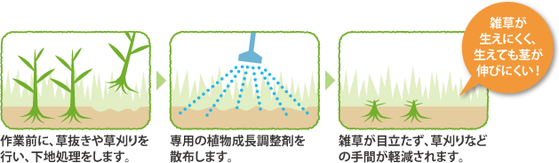 サービスの手順と効果