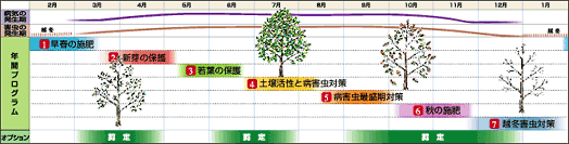 樹木の定期管理
